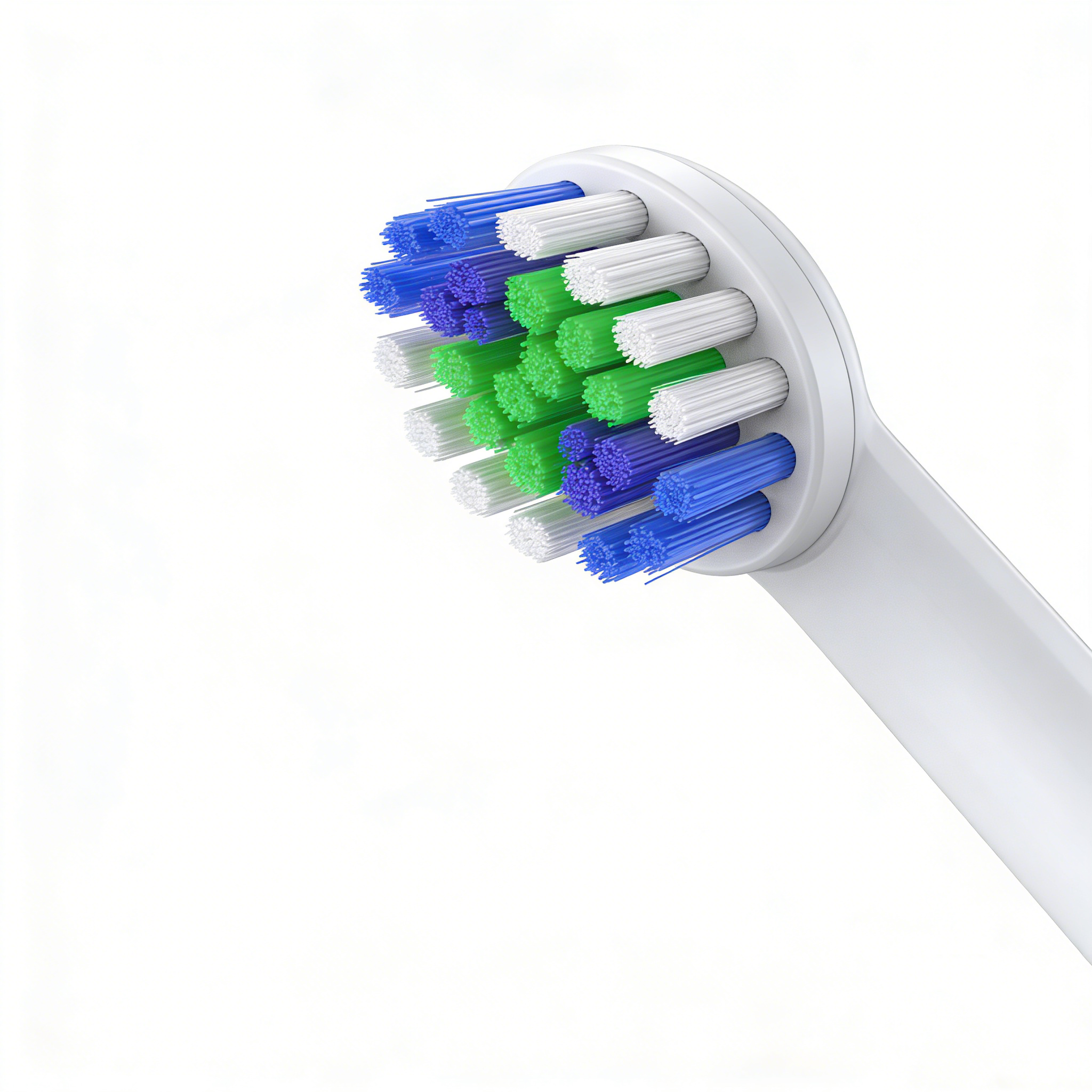 Rotating Electric Toothbrush | PA3618