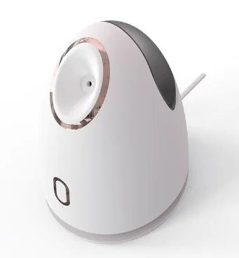 Portable Hot Spray Face Steamer and Moisturizer (One Unit)